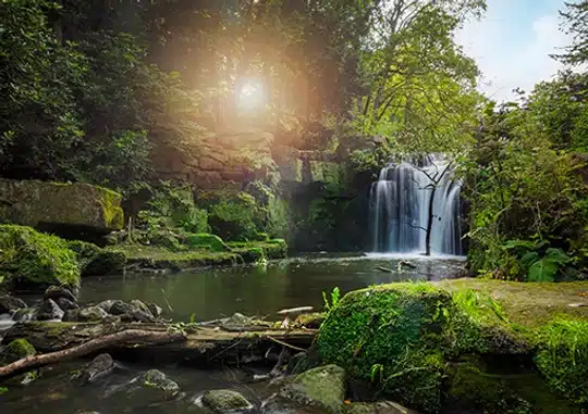 jesmond park jesmond central