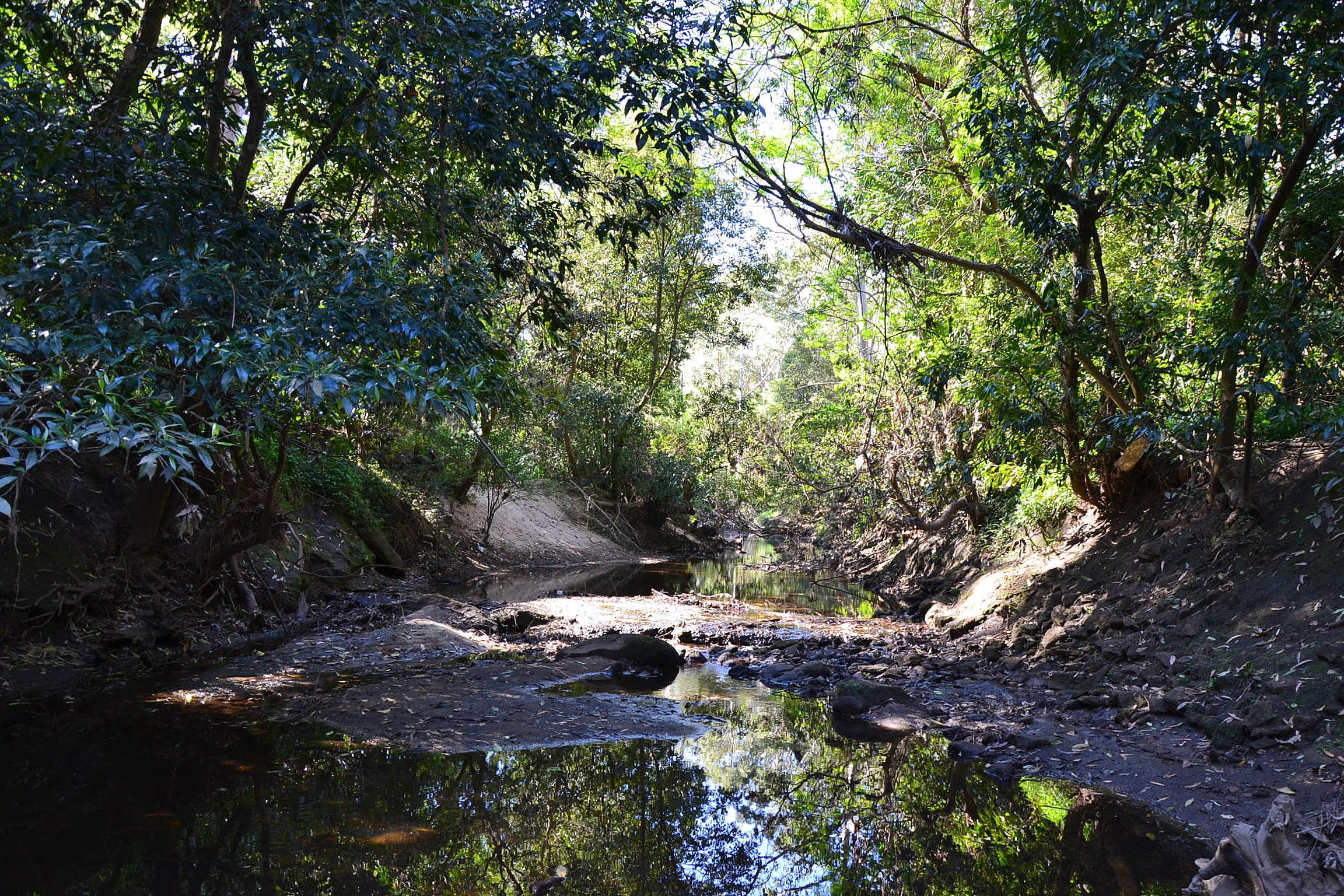 lane cove national park