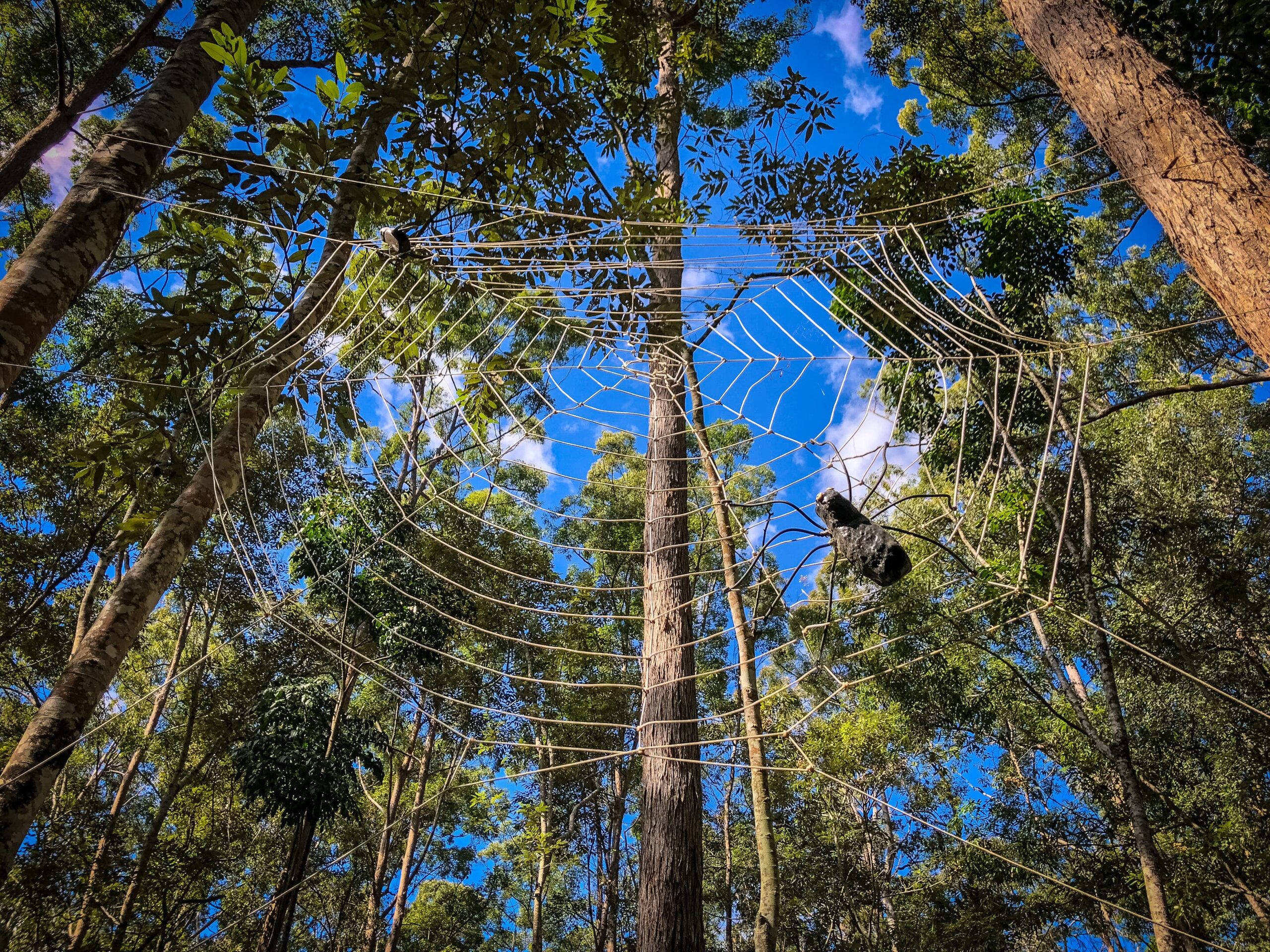 maroochy bushland botanic garden scaled