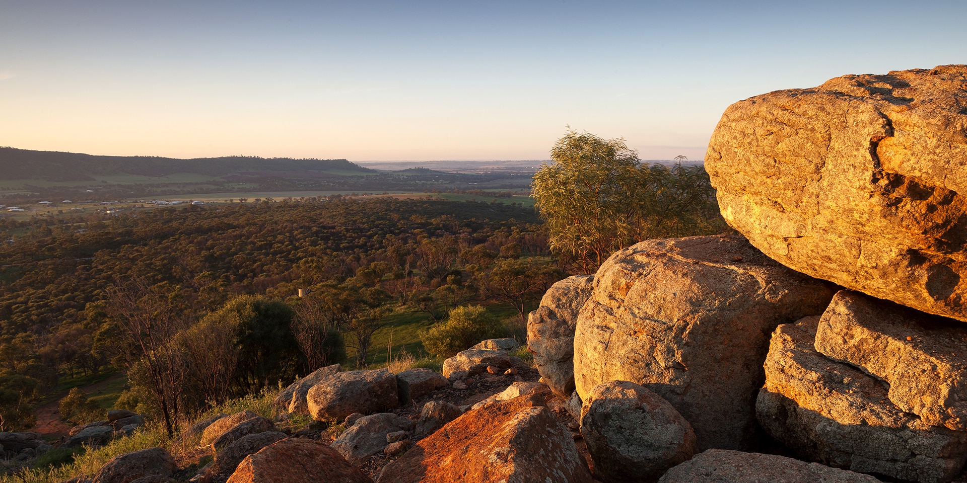mount brown lookout