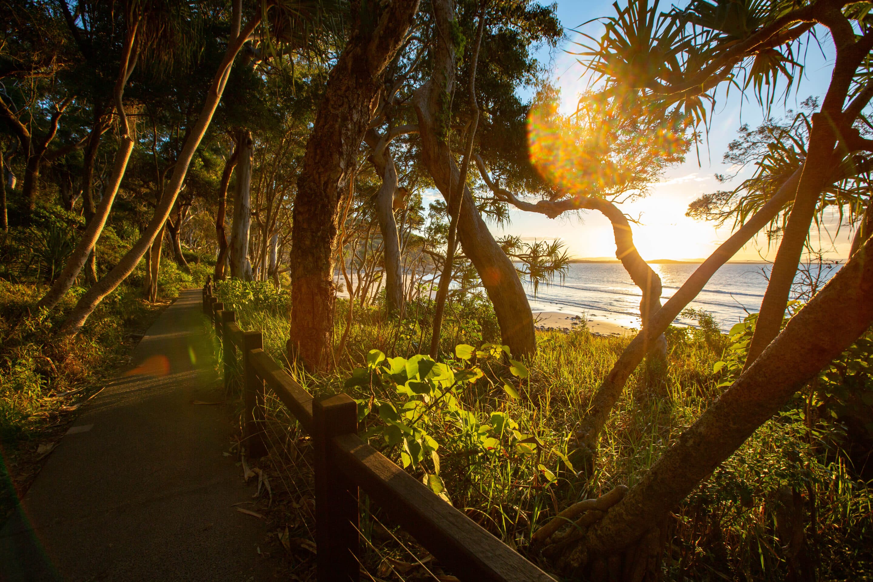 noosa national park scaled