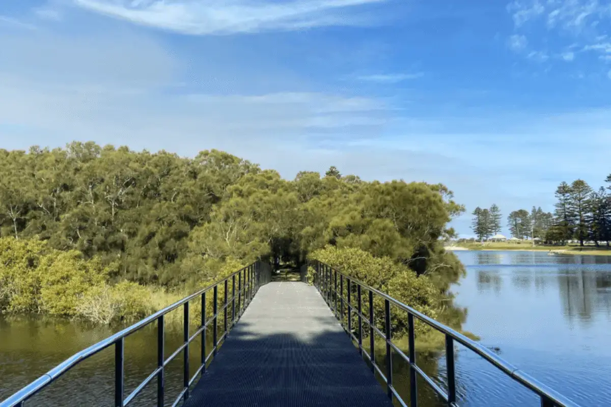 puckeys estate reserve