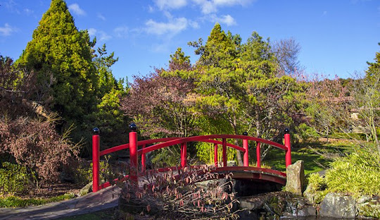 queens domain