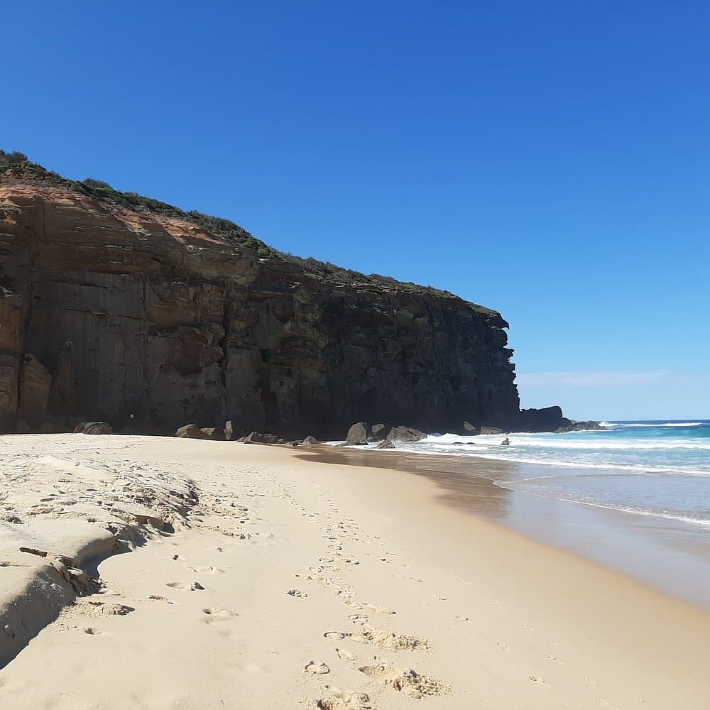 redhead beach short drive