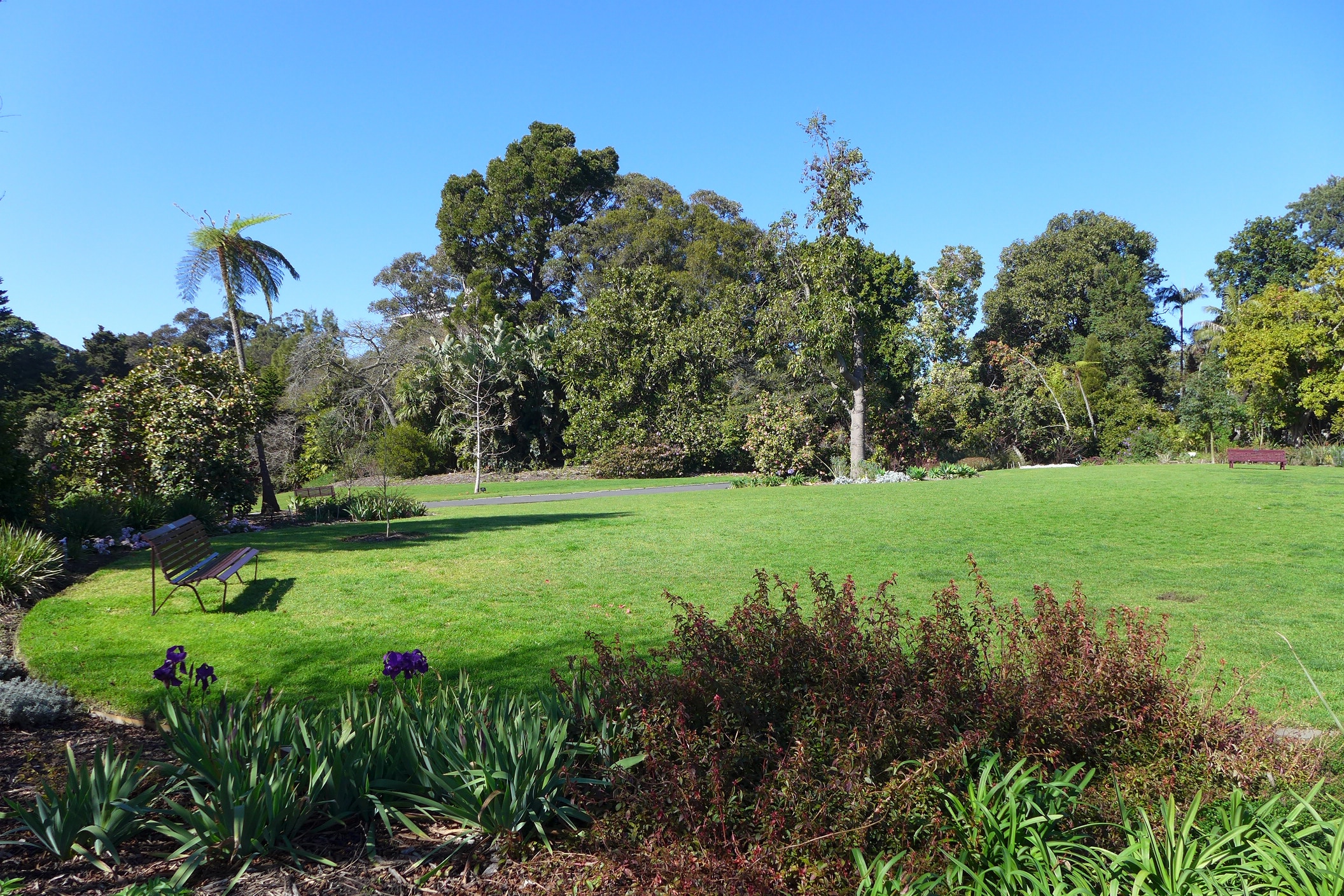 royal botanic gardens melbourne