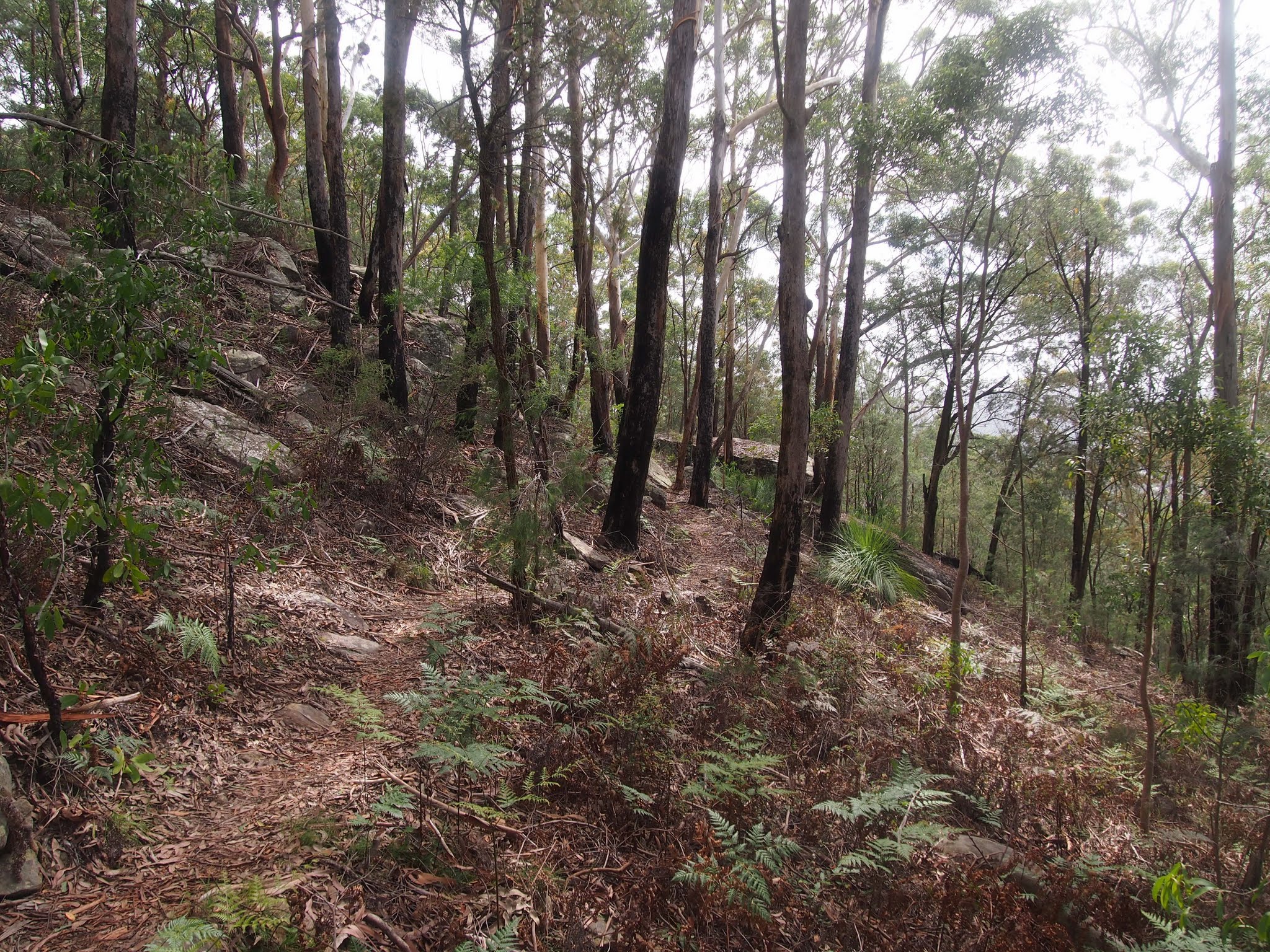 rumbalara reserve