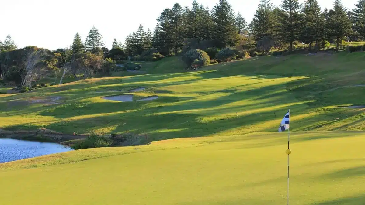 shelly beach golf club