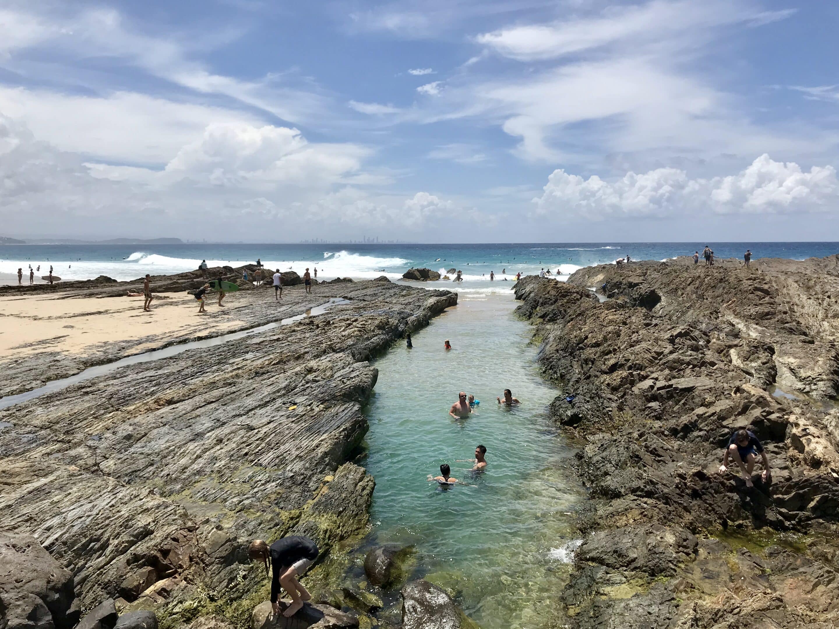 snapper rocks scaled