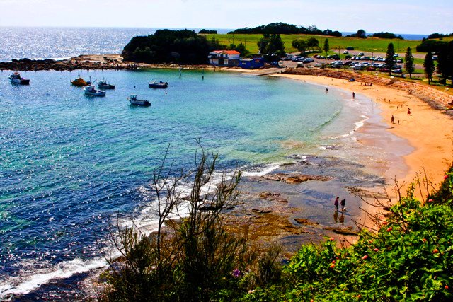 terrigal beach 1