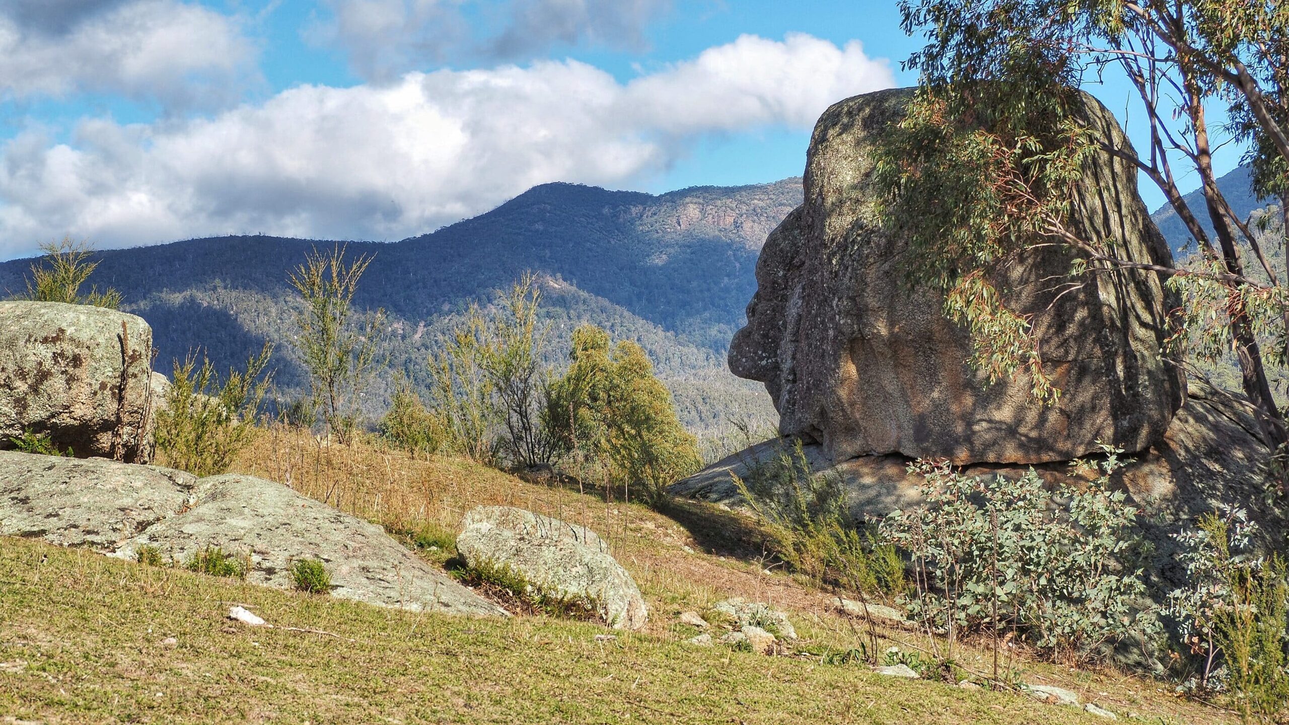 tidbinbilla nature reserve scaled