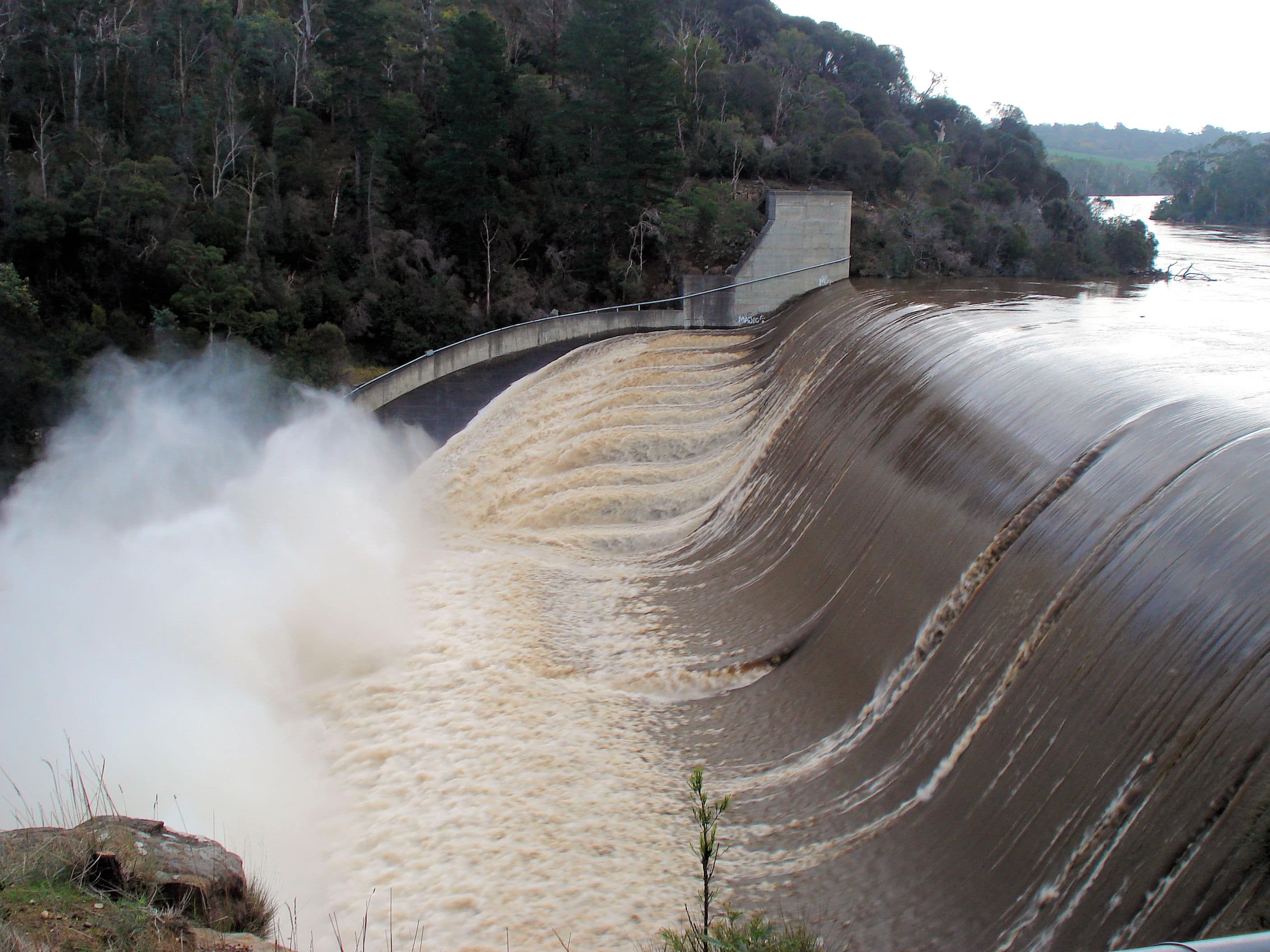 trevallyn dam lookout