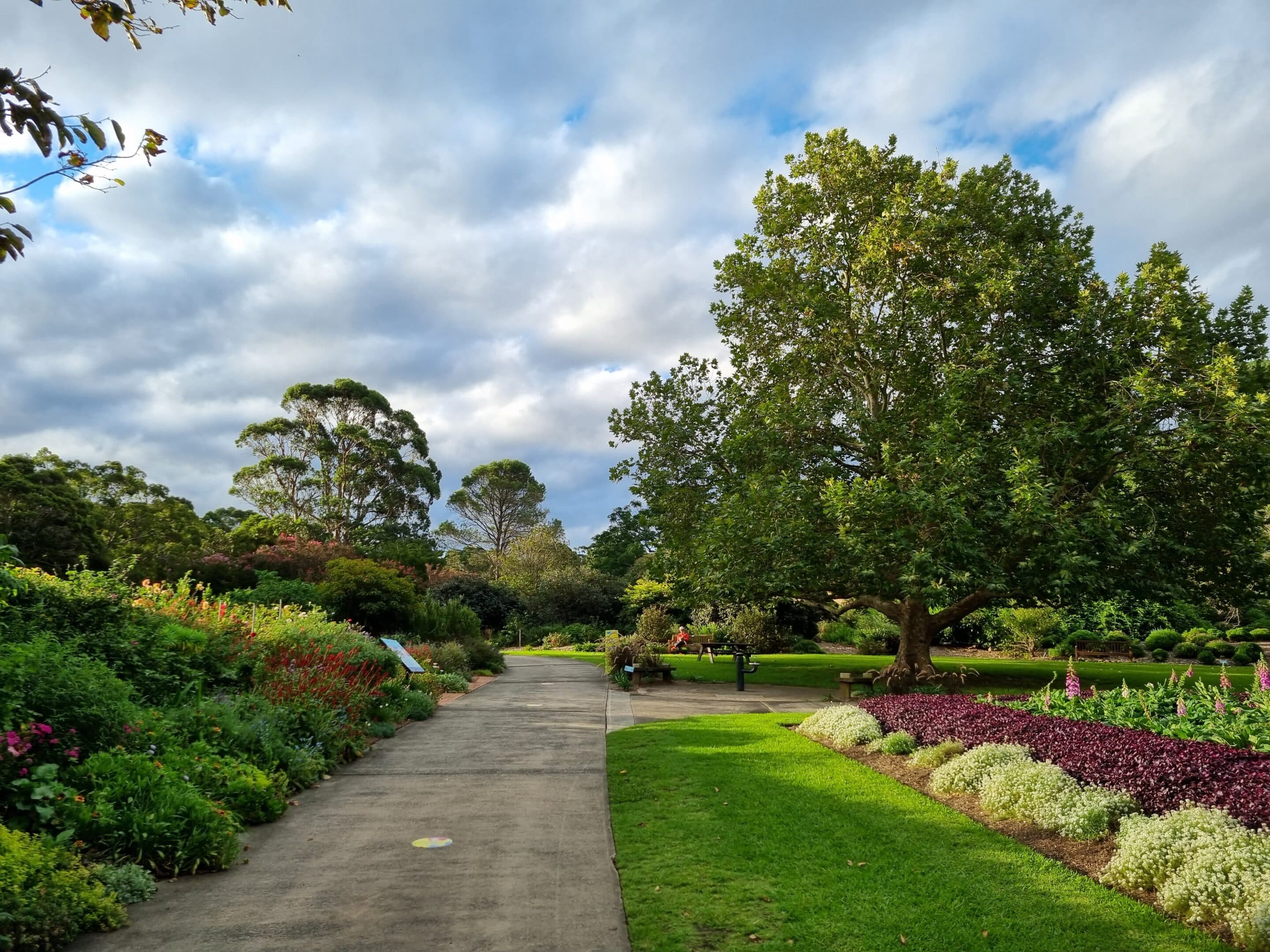 wollongong botanic garden scaled