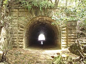 woy woy rail tunnel lookouts