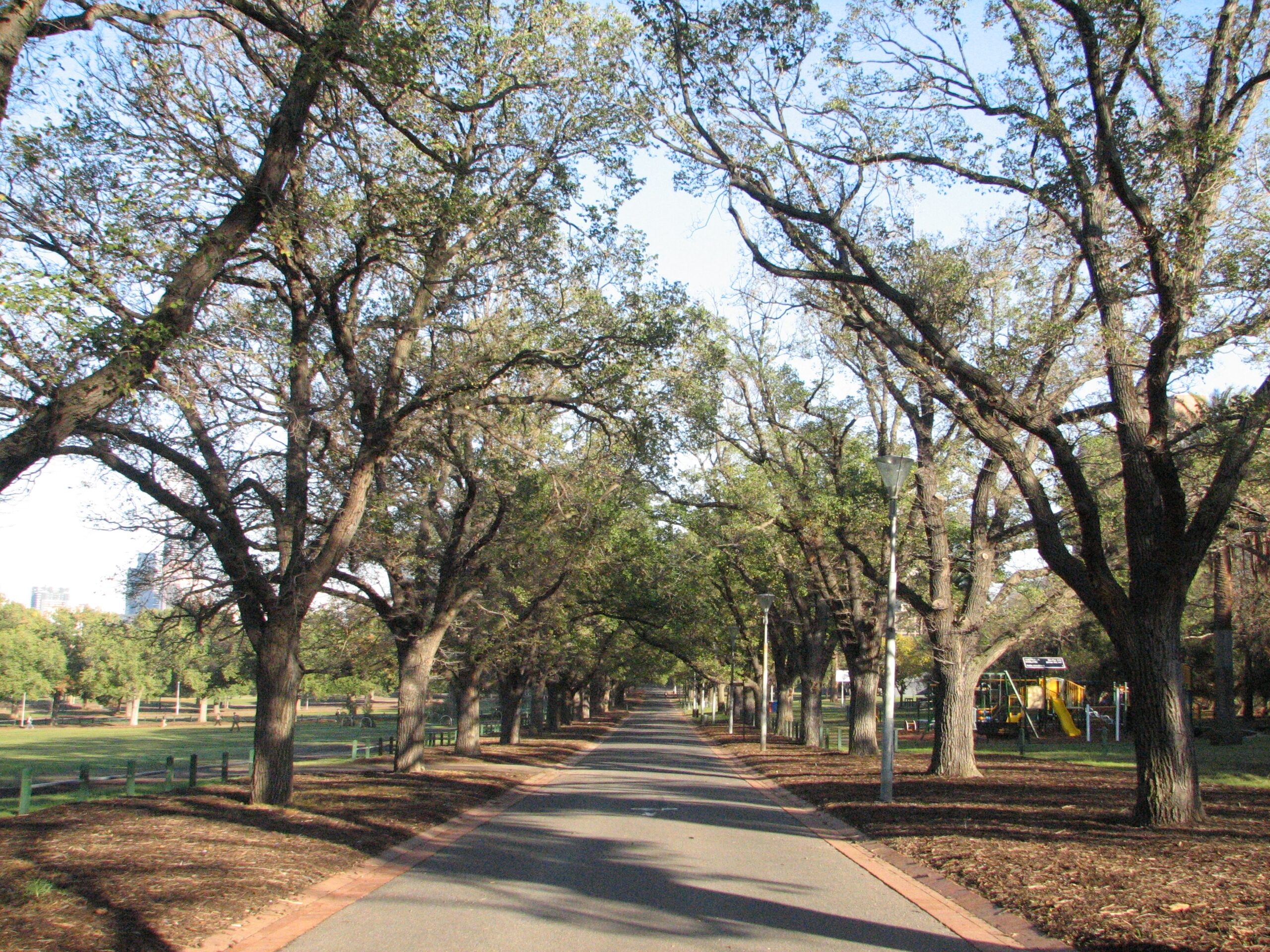 yarra park