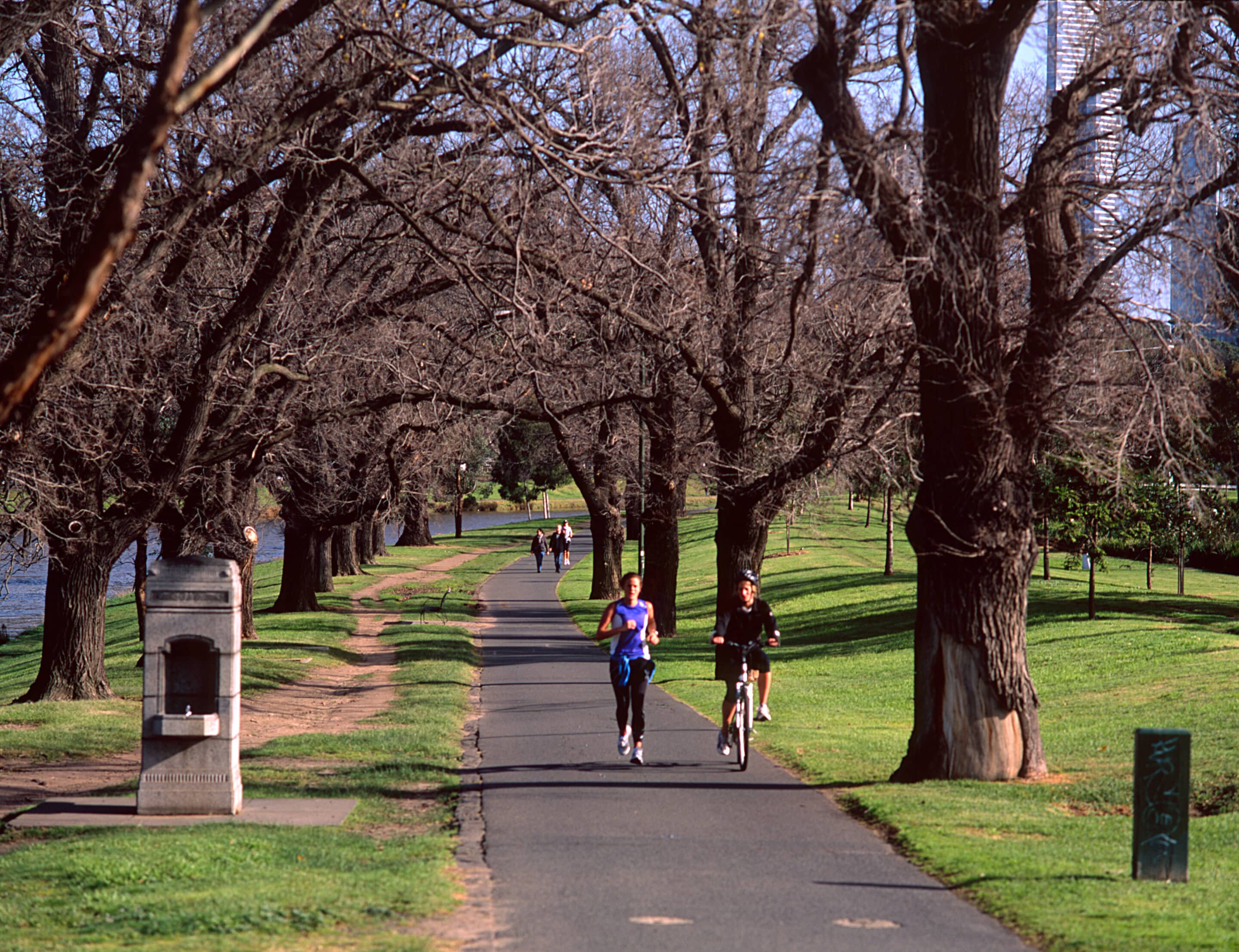 yarra river trail scaled